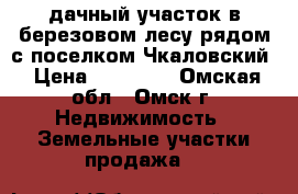 дачный участок в березовом лесу рядом с поселком Чкаловский › Цена ­ 50 000 - Омская обл., Омск г. Недвижимость » Земельные участки продажа   